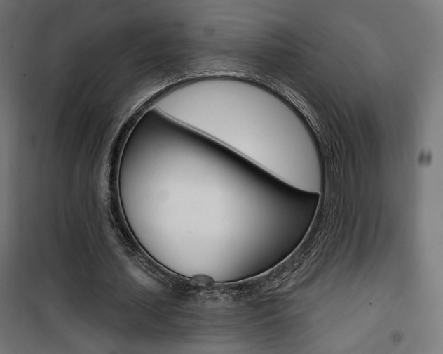 X0000101400627200807071030