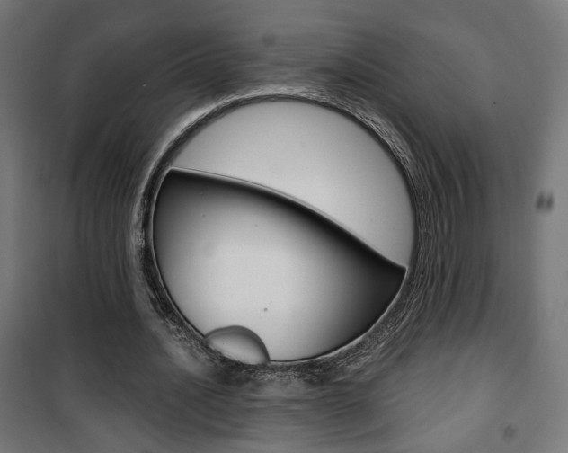 X0000101400628200807071030