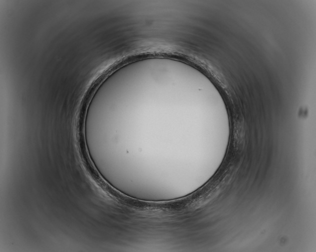 X0000101400629200807071030