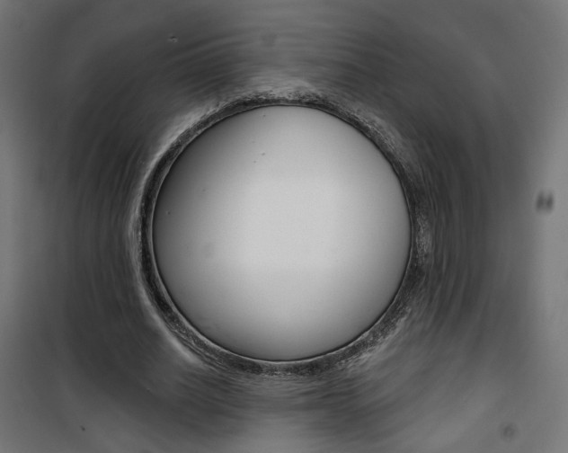 X0000101400630200807071030