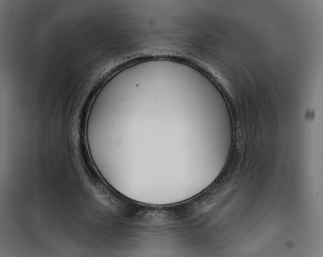 X0000101400631200807071030