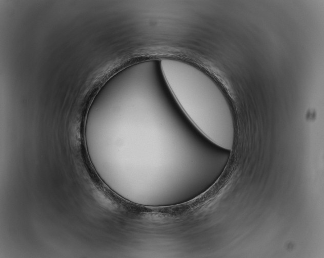 X0000101400633200807071031