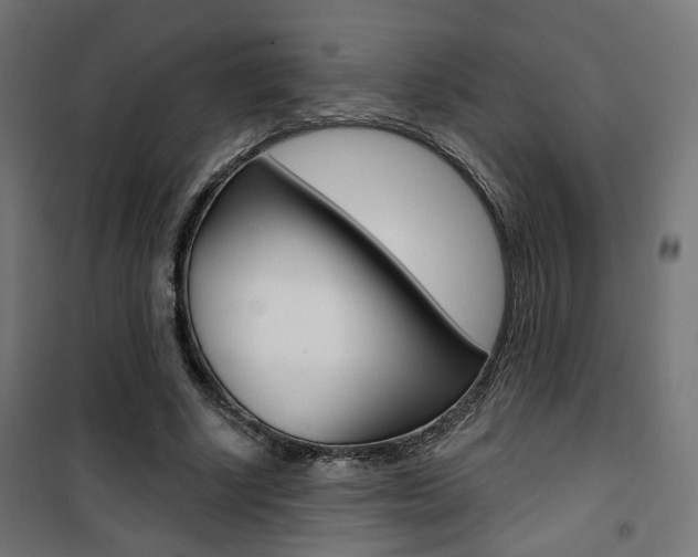 X0000101400634200807071031