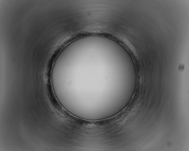 X0000101400635200807071031