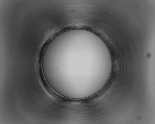 X0000101400638200807071031