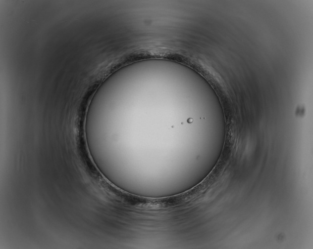 X0000101400639200807071031
