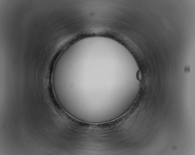 X0000101400640200807071031