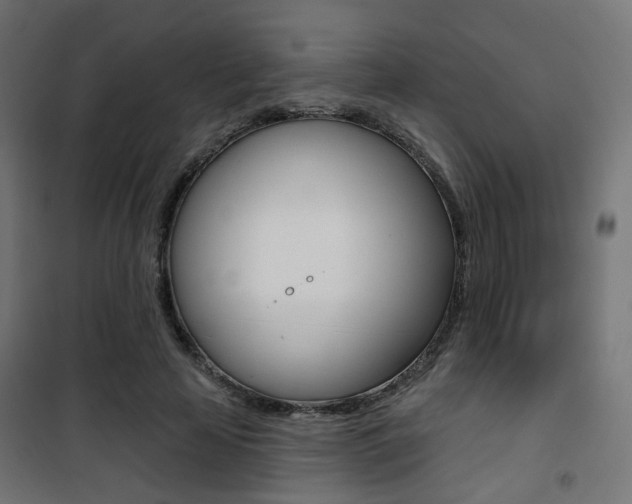 X0000101400641200807071031