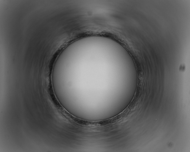 X0000101400642200807071031