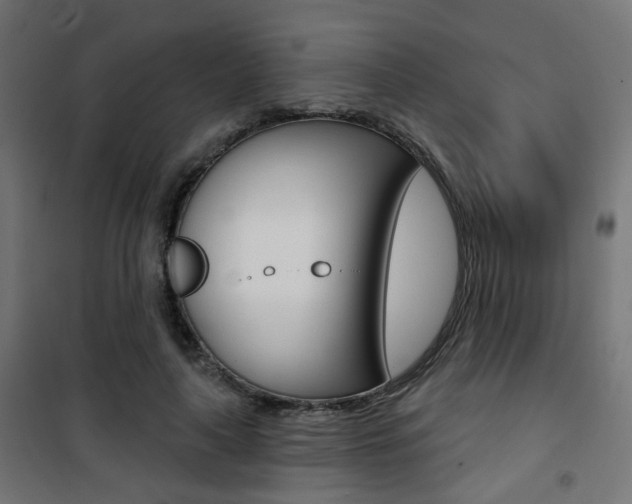 X0000101400643200807071031