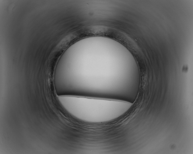 X0000101400644200807071031