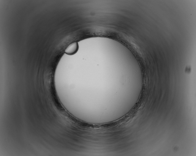 X0000101400645200807071031
