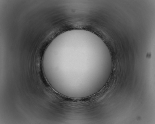 X0000101400646200807071031