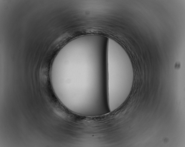 X0000101400648200807071031