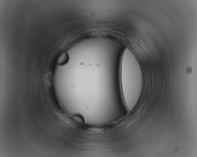 X0000101400649200807071031