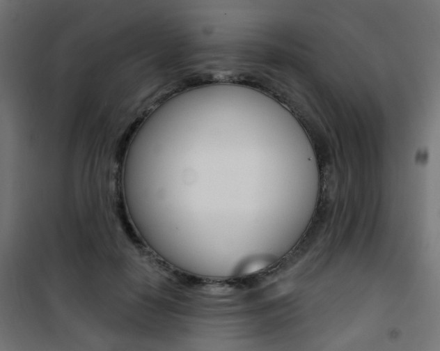 X0000101400650200807071031