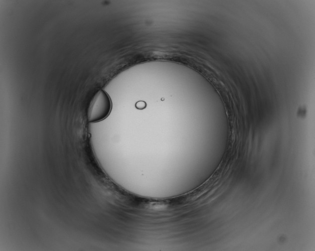X0000101400651200807071031
