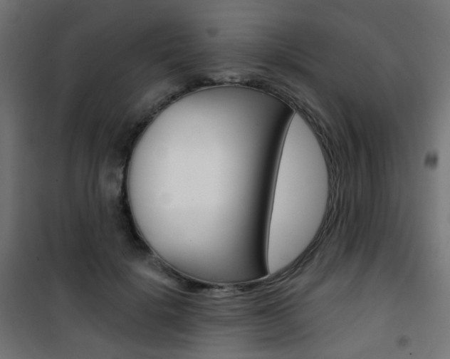 X0000101400652200807071031