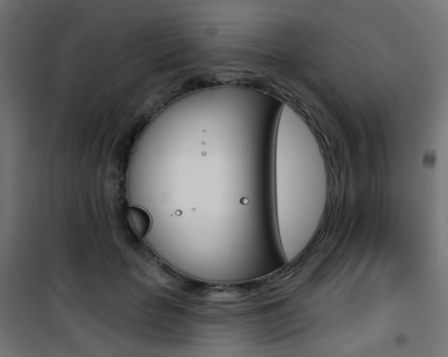 X0000101400653200807071031