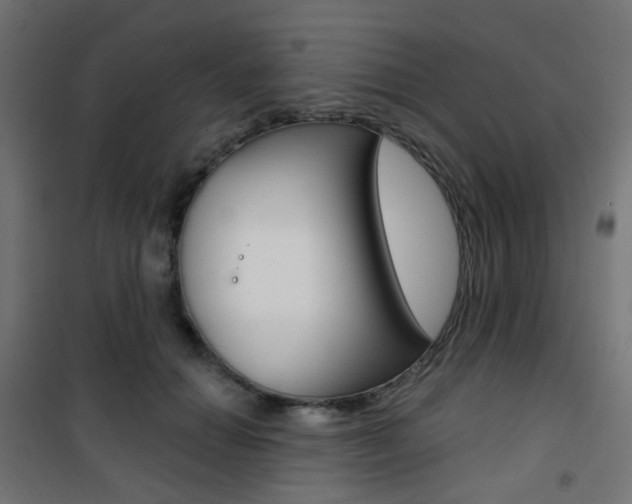 X0000101400654200807071031