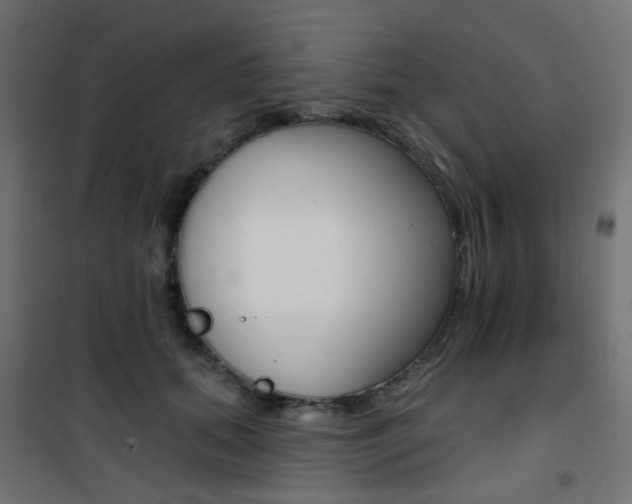 X0000101400655200807071031