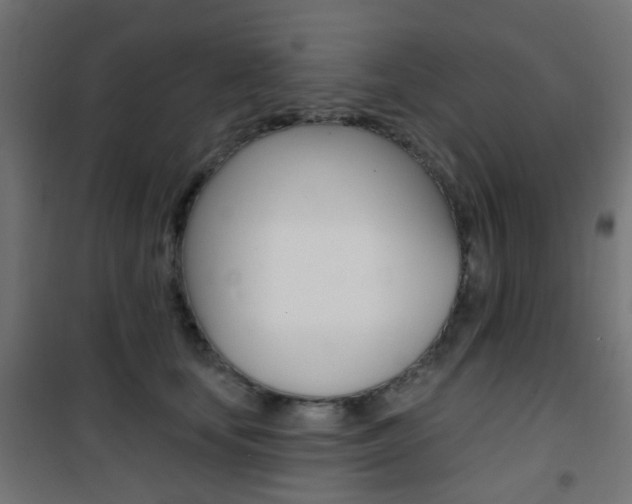 X0000101400659200807071031