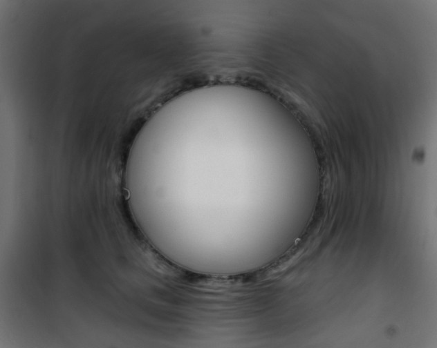 X0000101400661200807071031