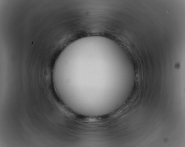X0000101400662200807071031