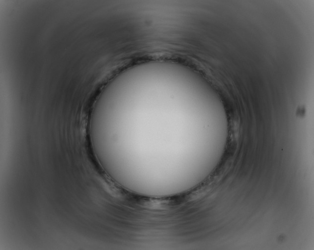 X0000101400664200807071031
