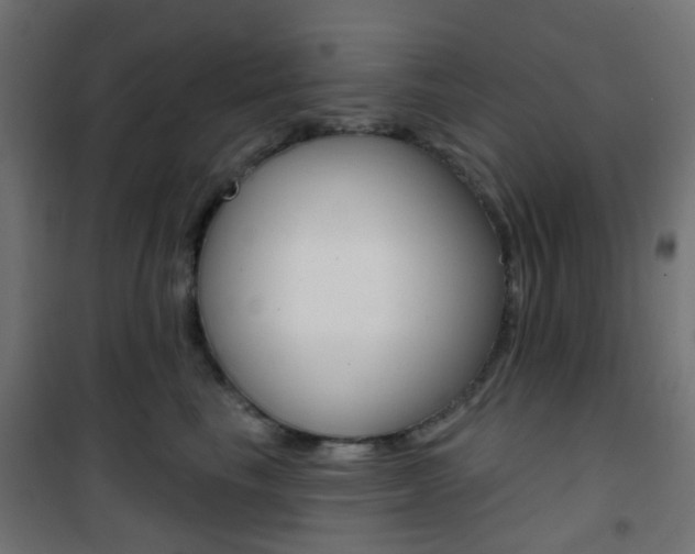 X0000101400665200807071031