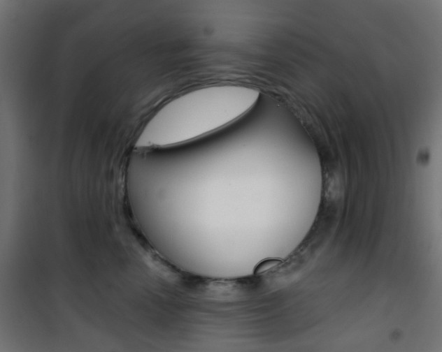 X0000101400666200807071031