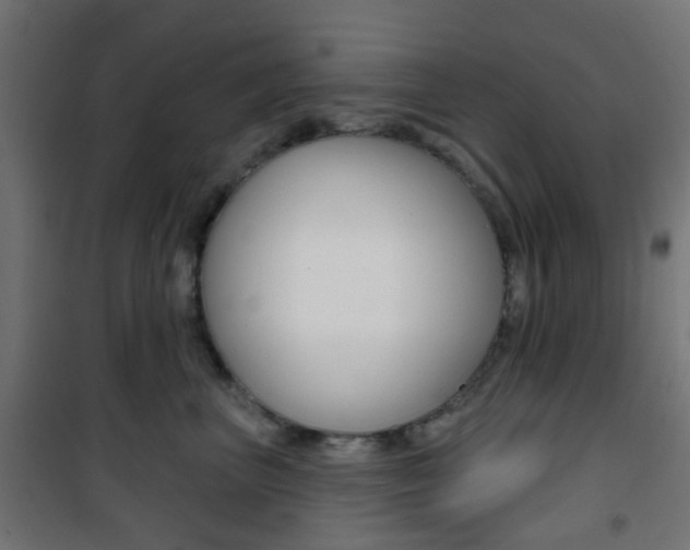 X0000101400667200807071031