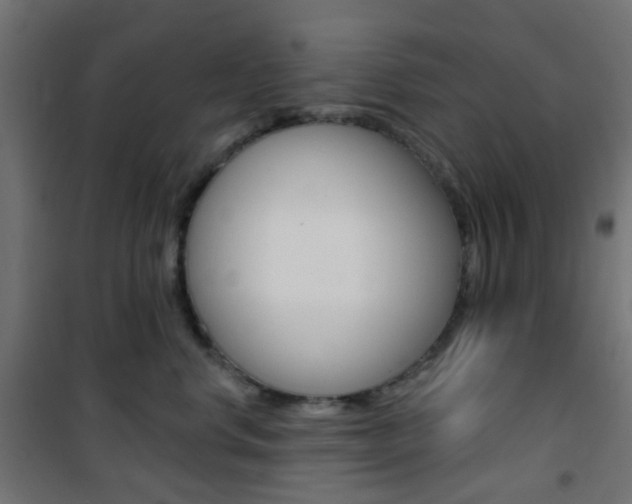 X0000101400668200807071031