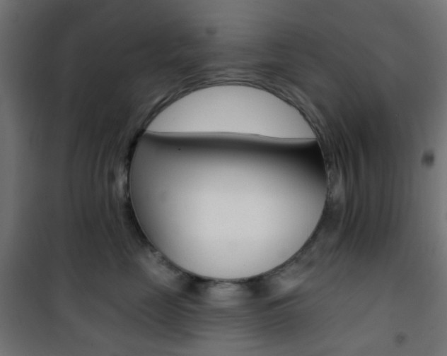 X0000101400669200807071031
