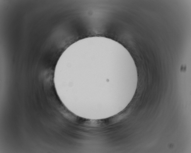 X0000101400672200807071031