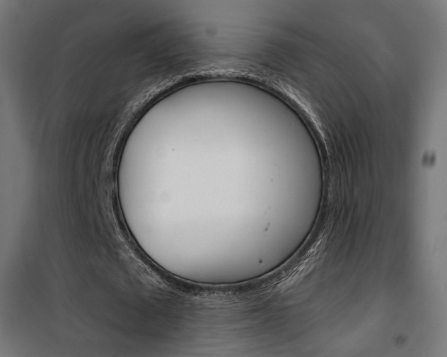 X0000101400673200807071030