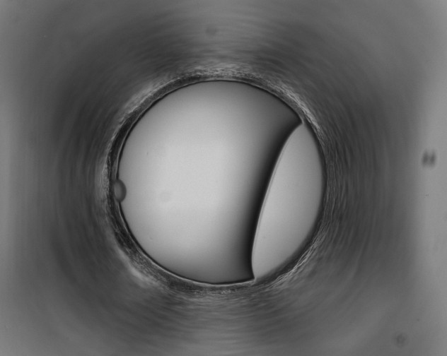 X0000101400674200807071030