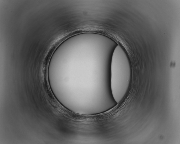 X0000101400675200807071030