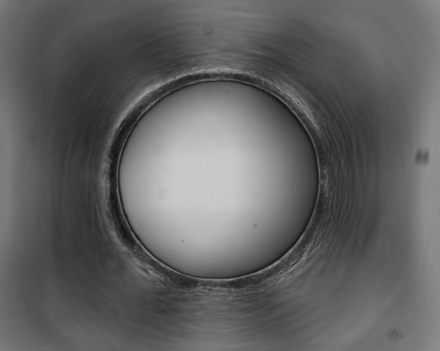 X0000101400676200807071030