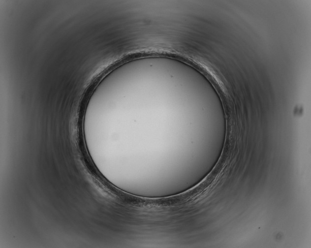 X0000101400677200807071030