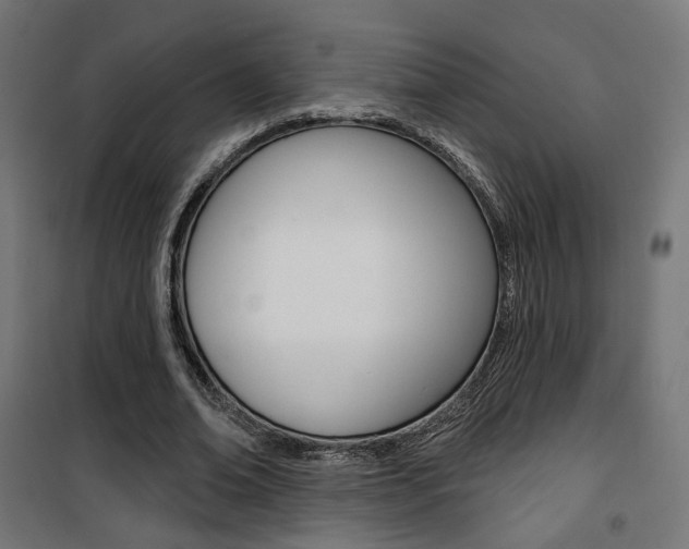 X0000101400678200807071030