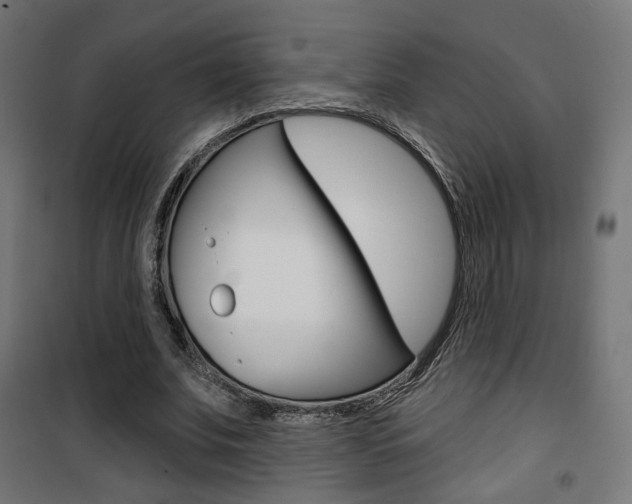 X0000101400679200807071030
