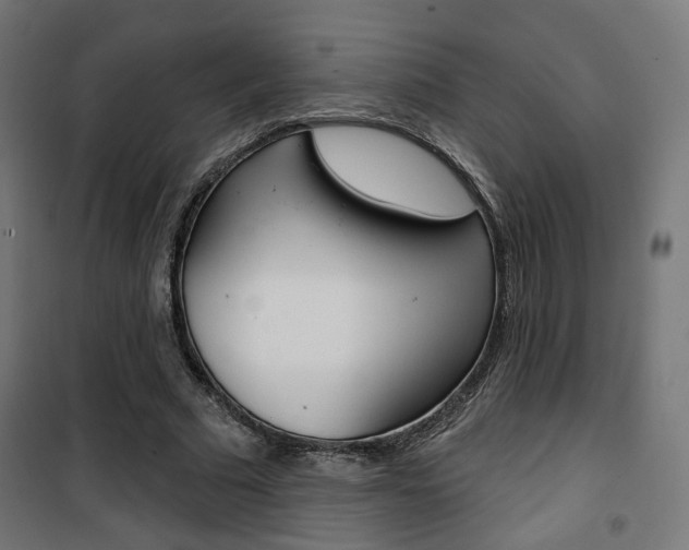 X0000101400681200807071030