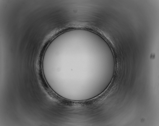 X0000101400682200807071030