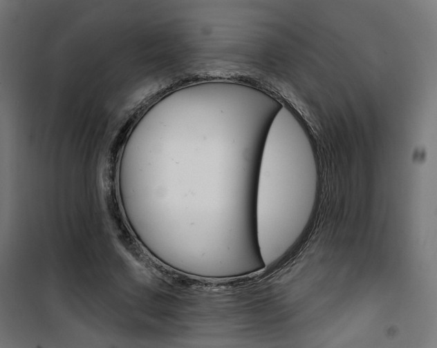 X0000101400683200807071030