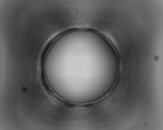 X0000101400684200807071030