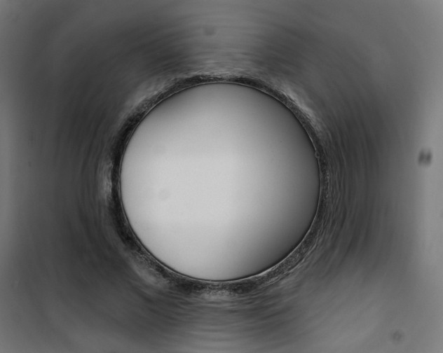 X0000101400685200807071030