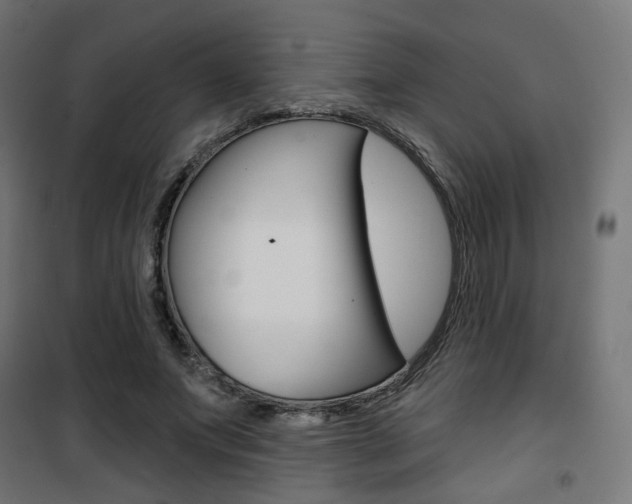 X0000101400687200807071030