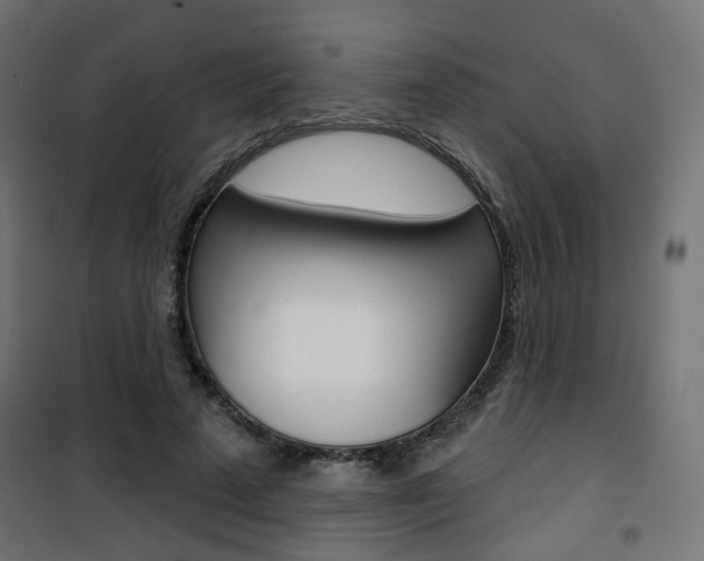 X0000101400689200807071030