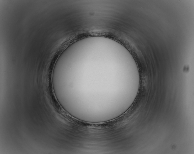 X0000101400690200807071030